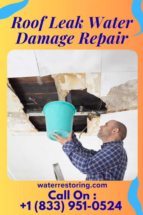 Roof Leak Water Damage Repair in Scranton, SC