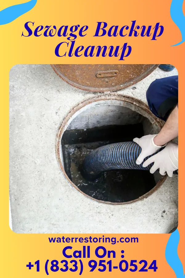 Sewage Backup Cleanup in Scranton, SC